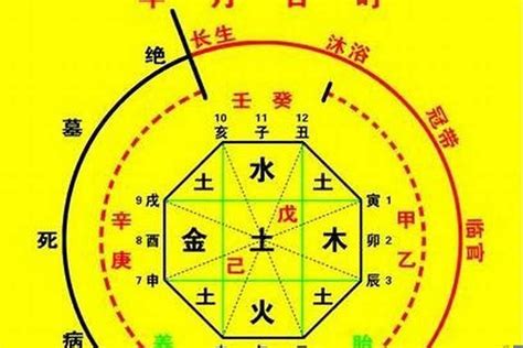 8字 五行|生辰八字算命、五行喜用神查询（免费测算）